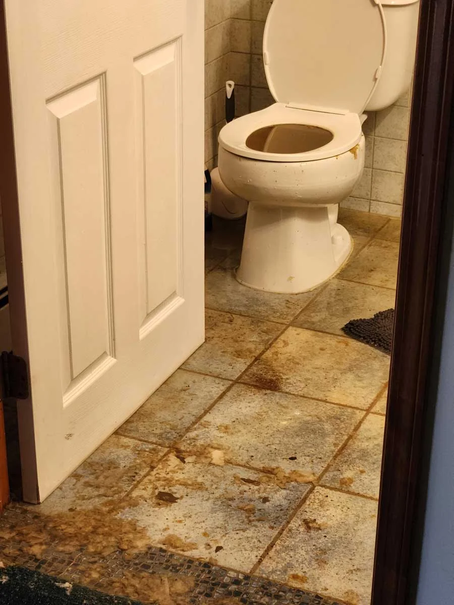 sewer backup toilet overflow